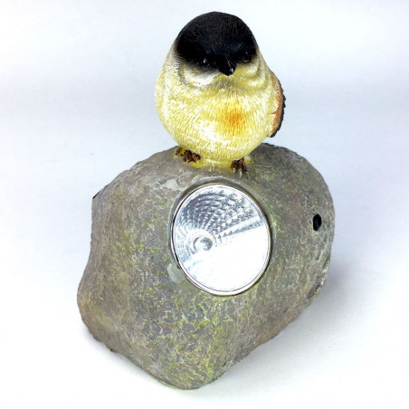 Oiseau solaire chantant