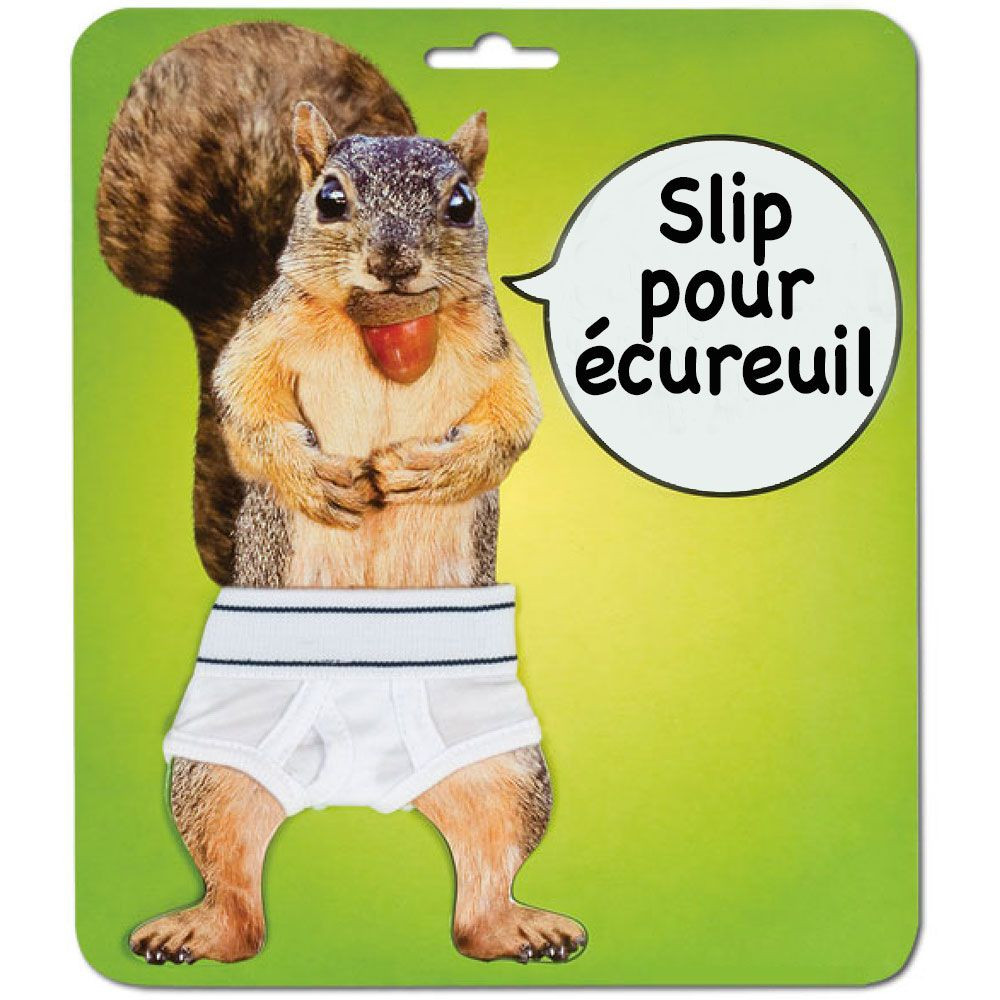 Slip pour écureuil