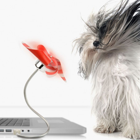 Ventilateur usb Moulin à vent