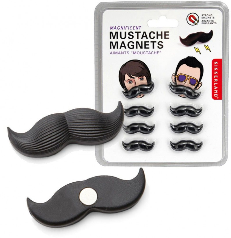 Magnets petite moustache x 8