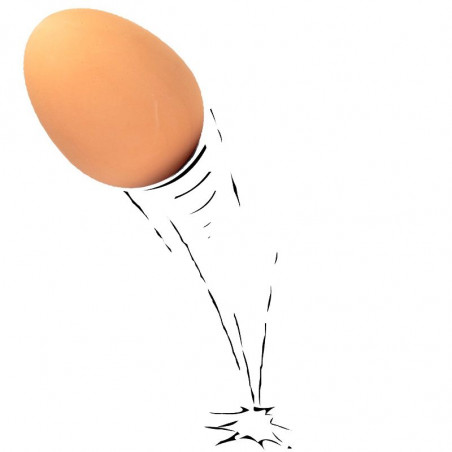 Oeuf balle rebondissante