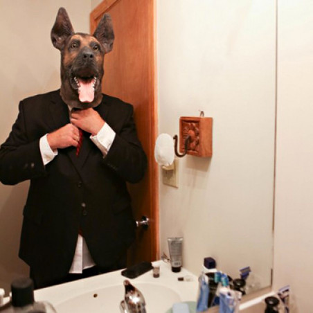 Masque de Berger Allemand