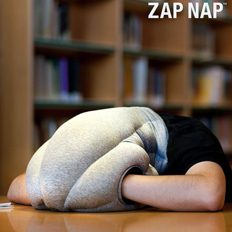 Coussin oreiller Autruche