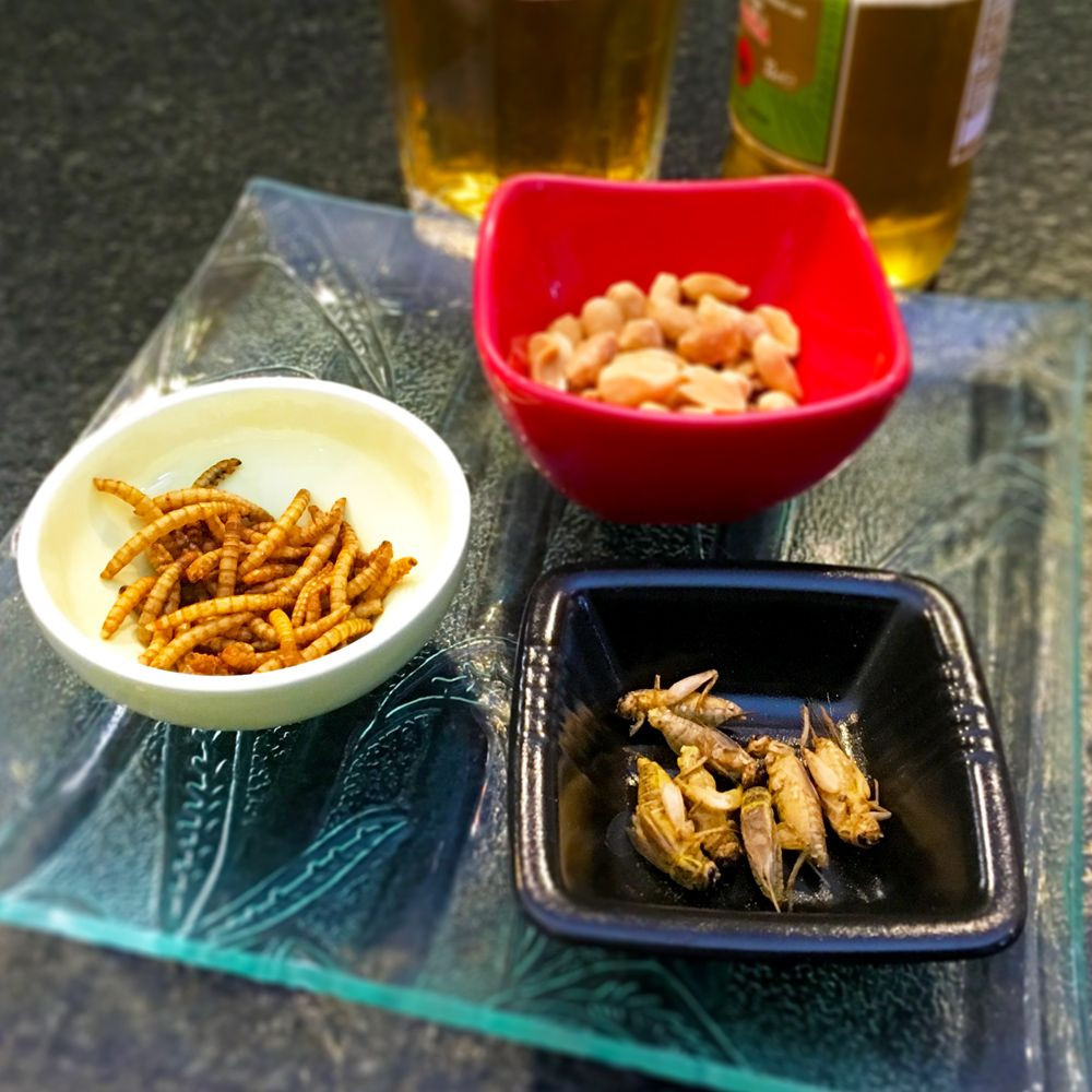 Duo apéro d'insectes comestibles