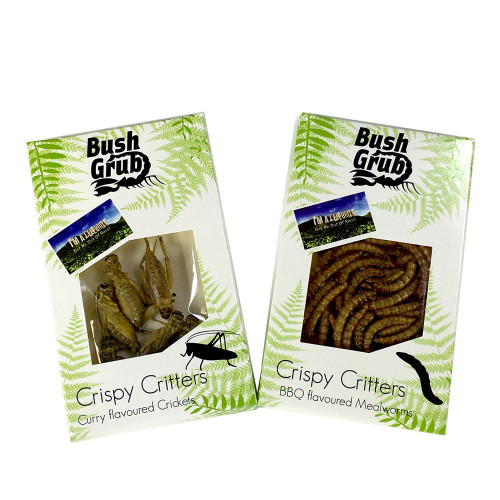 Duo apéro d'insectes comestibles