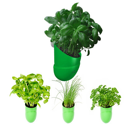 Vente Mini jardinière aromatique Bean Pod