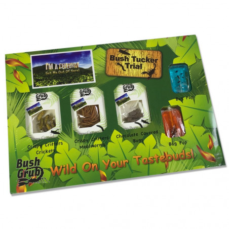Pack découverte dégustation d'insectes