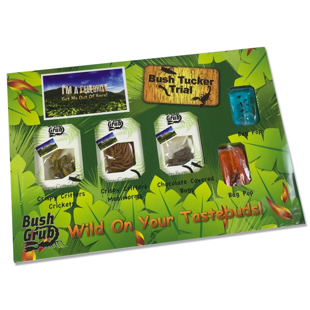 Pack découverte dégustation d'insectes