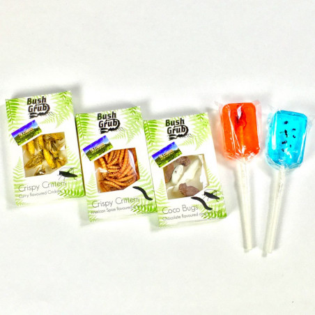 Pack découverte dégustation d'insectes