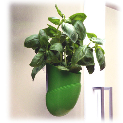 Photo Mini jardinière aromatique Bean Pod