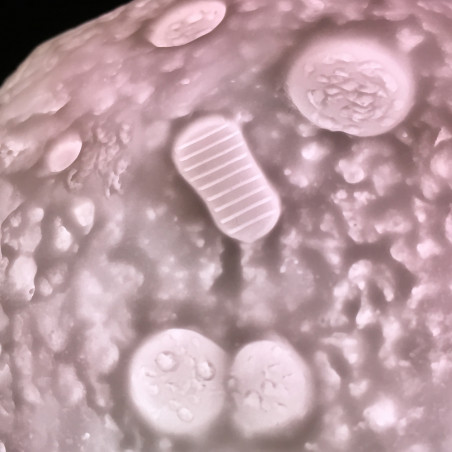 Lampe d'ambiance lune