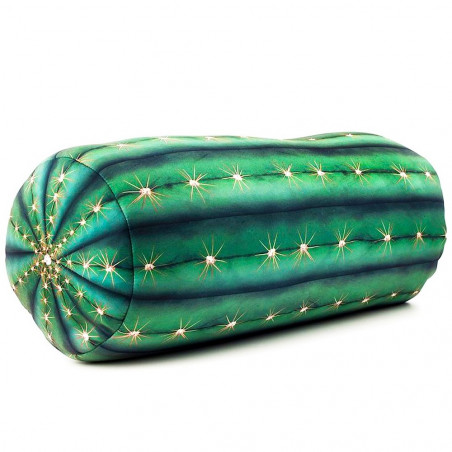 Coussin microbilles Cactus