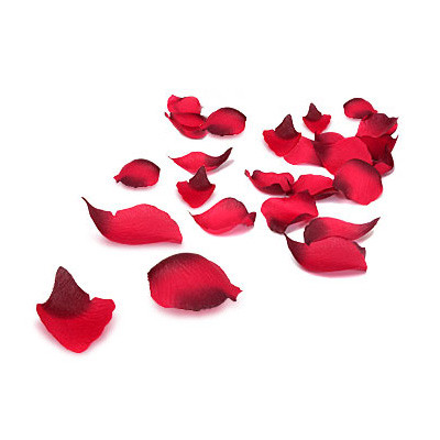 Photo Lit de roses, invitation romantique