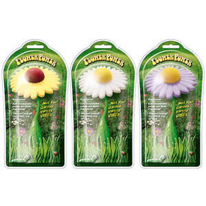 Photo Flower Power, fleur vibrante