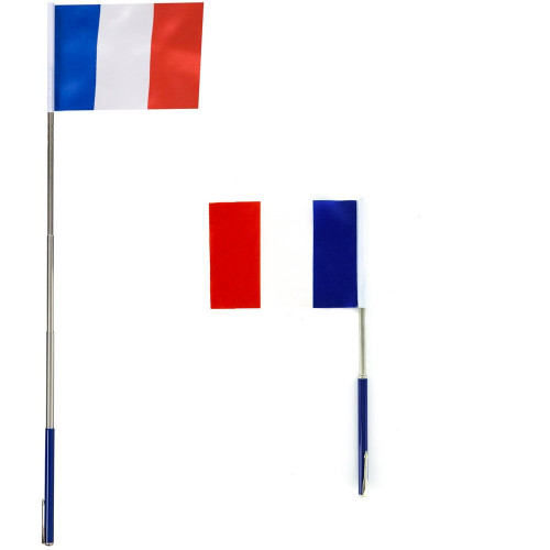 Drapeau supporter France