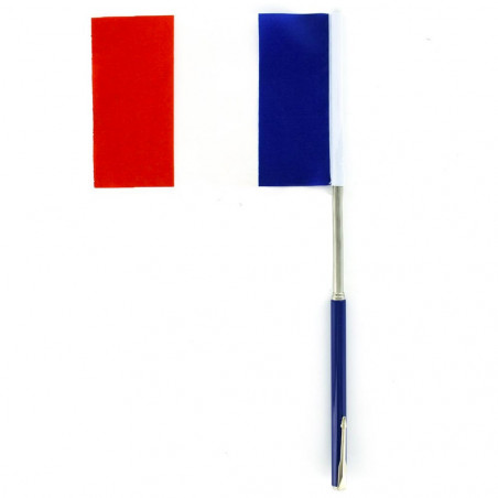 Drapeau supporter France