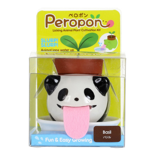 Peropon Panda Basilic à faire pousser