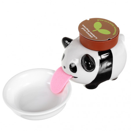 Peropon Panda Basilic à faire pousser