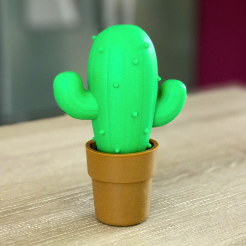 Cactus séparateur d'oeufs