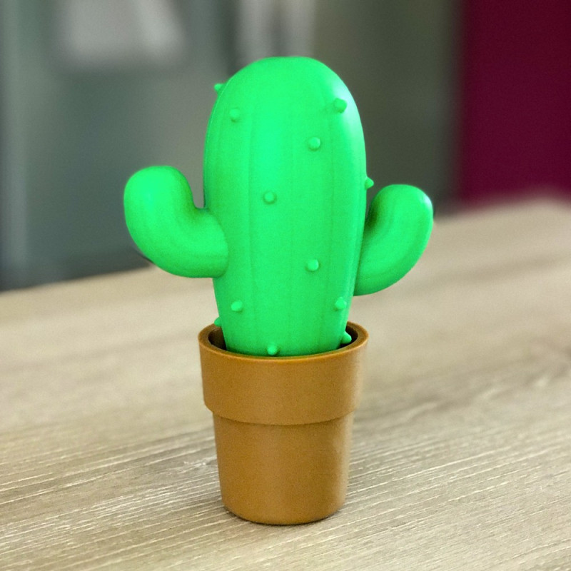 Porte-capsules cactus - Super idées cadeaux
