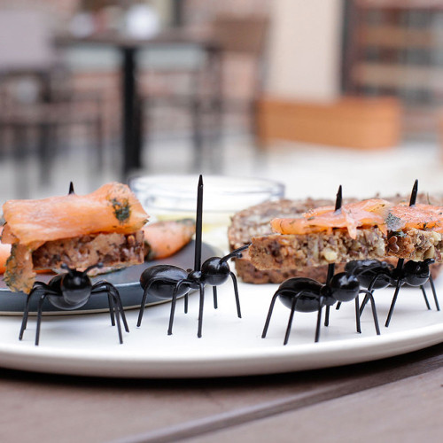 Pics Apéritif Fourmis – Set de 12 Pics Apéro Originaux - Mycrazystuff