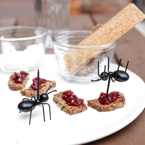 Pics Apéritif Fourmis – Set de 12 Pics Apéro Originaux - Mycrazystuff