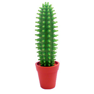 Photo Stylo Cactus
