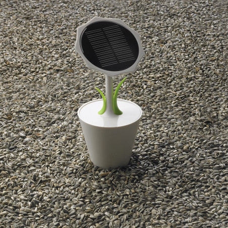 Chargeur solaire Sunflower