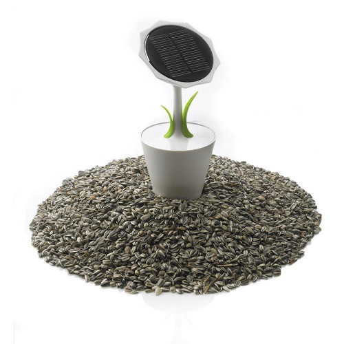 Chargeur solaire Sunflower