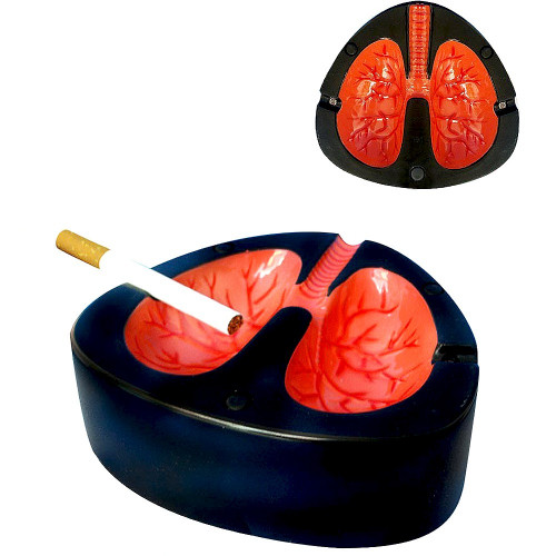 Cendrier Tousseur – Cendrier Humoristique en Forme de Poumons - Mycrazystuff