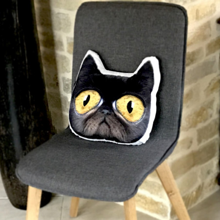 Coussin tête de chat