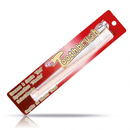 Brosse à dents zizi