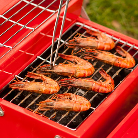 Barbecue caisse à outils