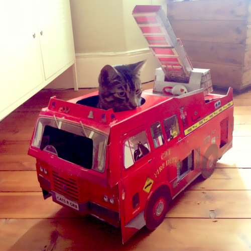 Camion de pompier, Maison de jeu pour chat