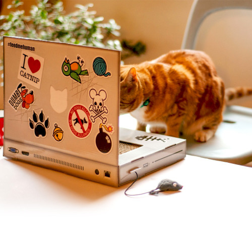 Grattoir pour chat ordinateur et sa souris