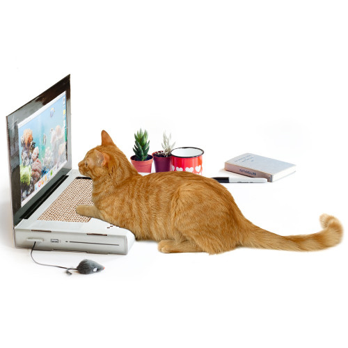 Grattoir pour chat ordinateur et sa souris