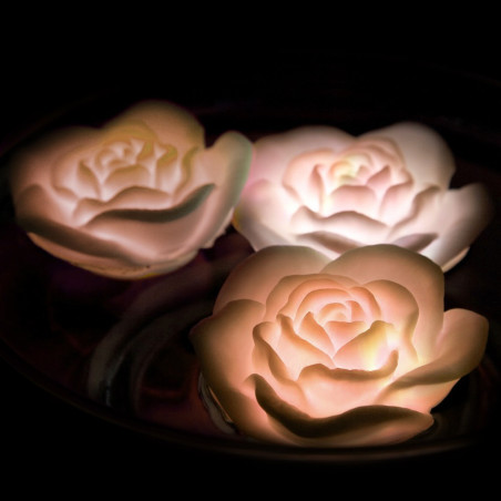 Vente Roses lumineuses aquatiques