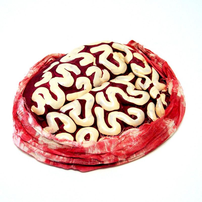 Cervelle de zombie