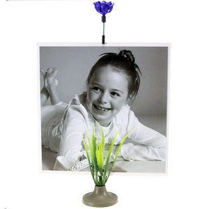 Photo Touffe porte-photo