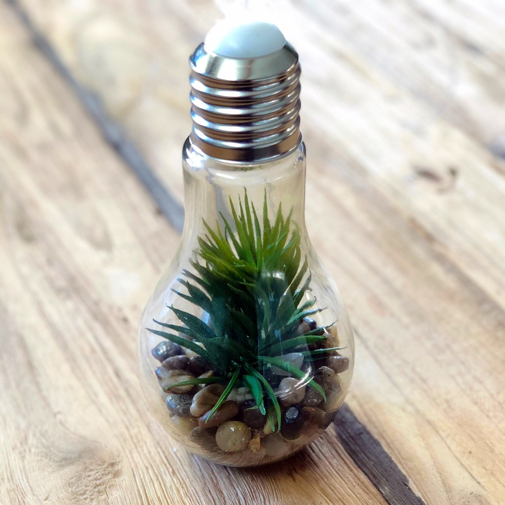 Cadeau déco : Ampoule décorative led plante - 8,55 €
