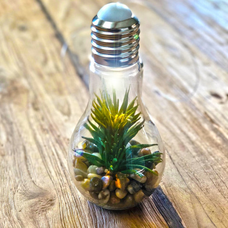 Ampoule led plante
