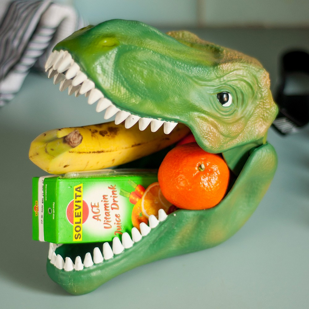 Lunch box Dinosaure