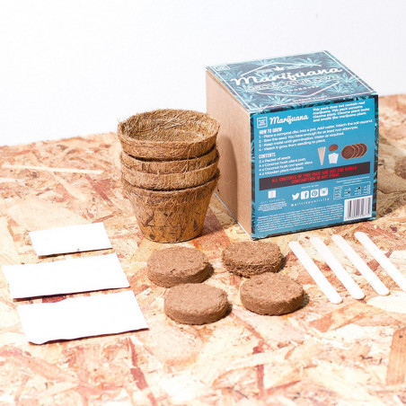 Kit à faire pousser Marijuana