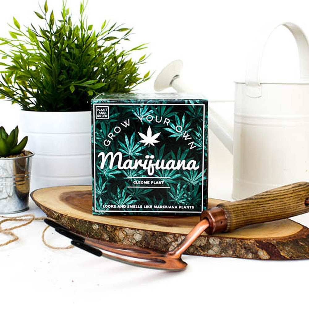 Cadeau WTF : Kit à faire pousser Marijuana - 14,90 €