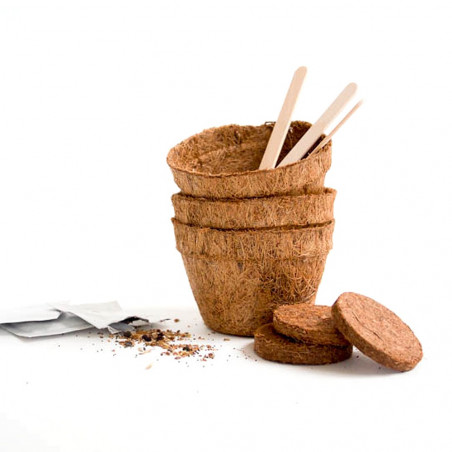 Kit à faire pousser Marijuana