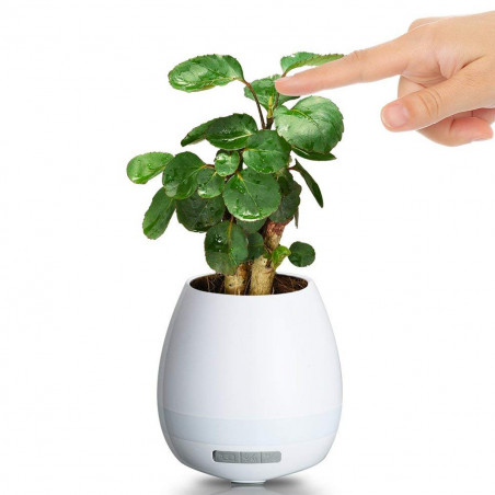 Pot de fleur musical magique