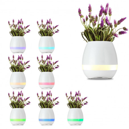 Pot de fleur musical magique