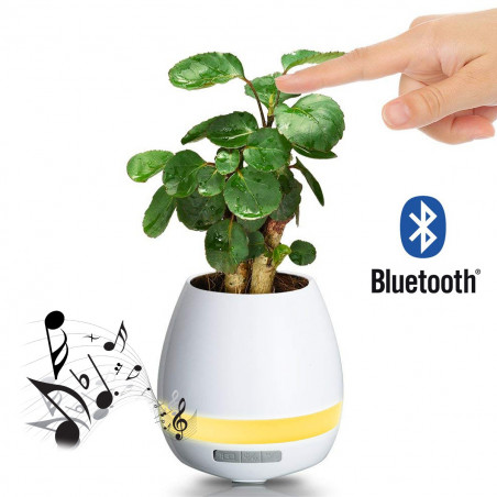 Pot de fleur musical magique