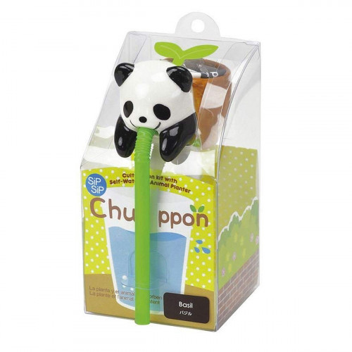 Chuppon Panda basilic à faire pousser