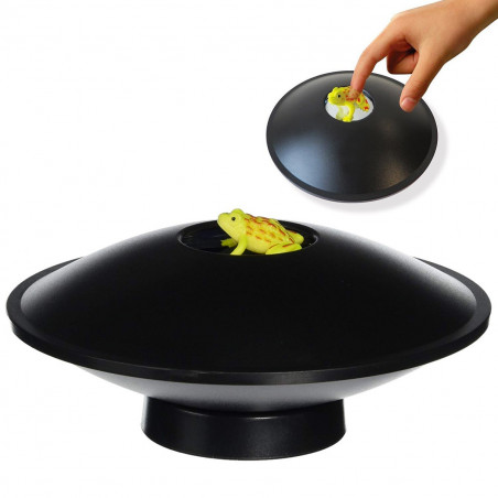 Photo Mirascope, l'illusion d'optique fascinante.